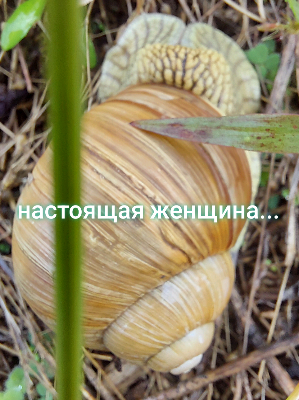 @Рыся✔️🇧🇾