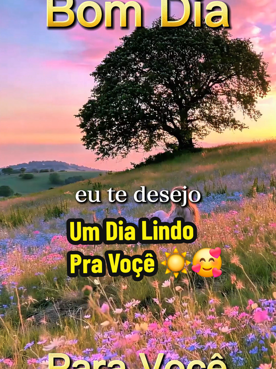 @César A. A. Santos