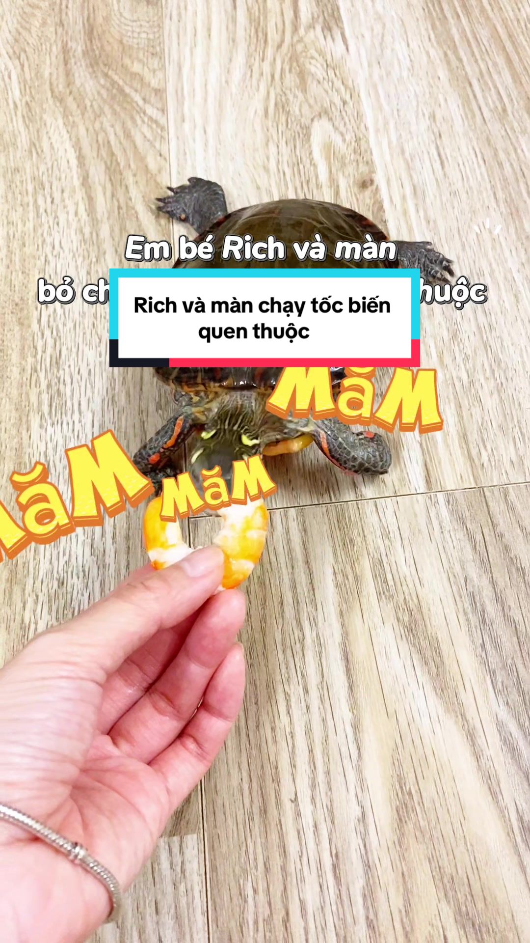 @Nh&agrave; c&oacute; r&ugrave;a v&agrave; ch&oacute;