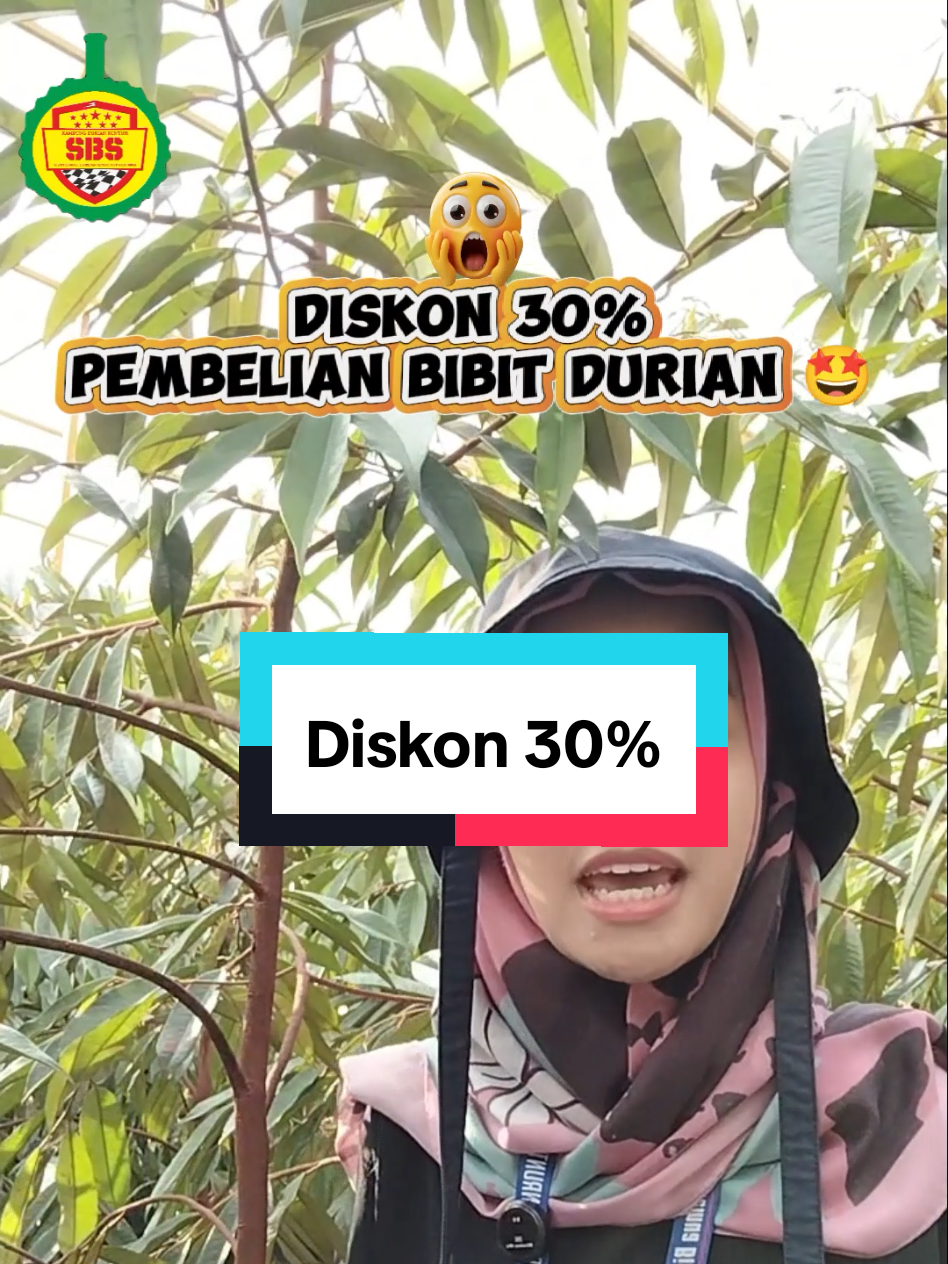 @Produksi Buah_SBS