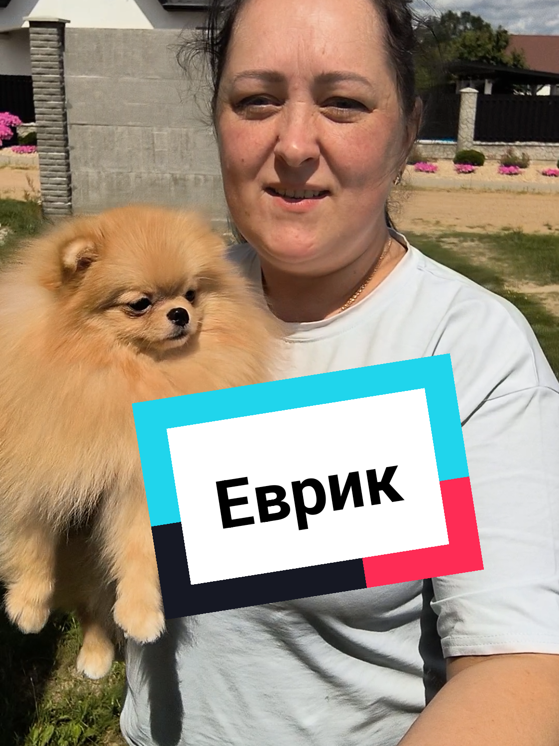 @Veronika Tkachuk