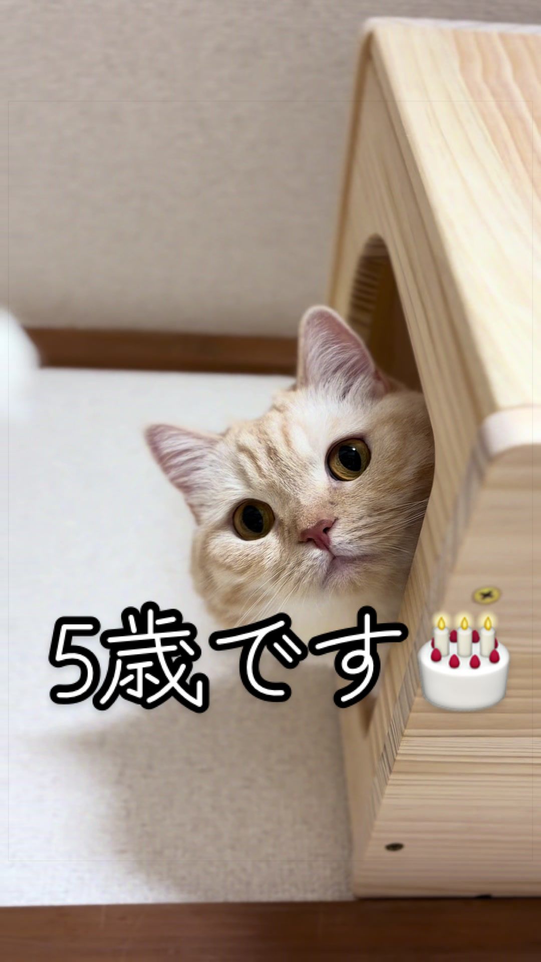 @縫くんと私