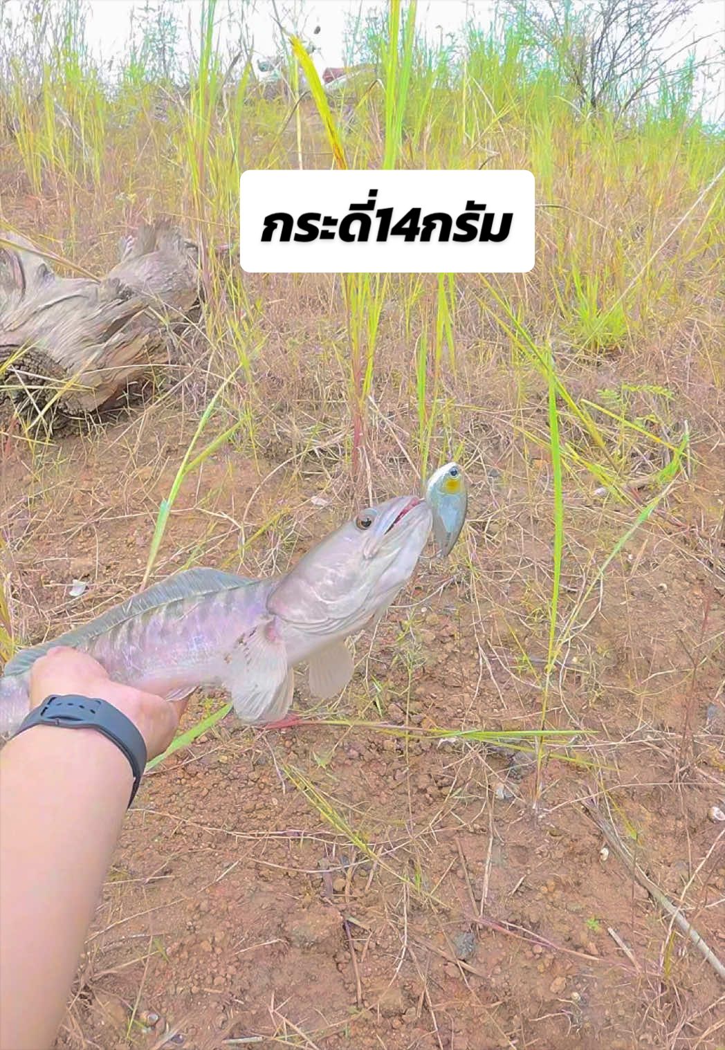 @น้ากอล์ฟ fishing ชอบแต่งรถ