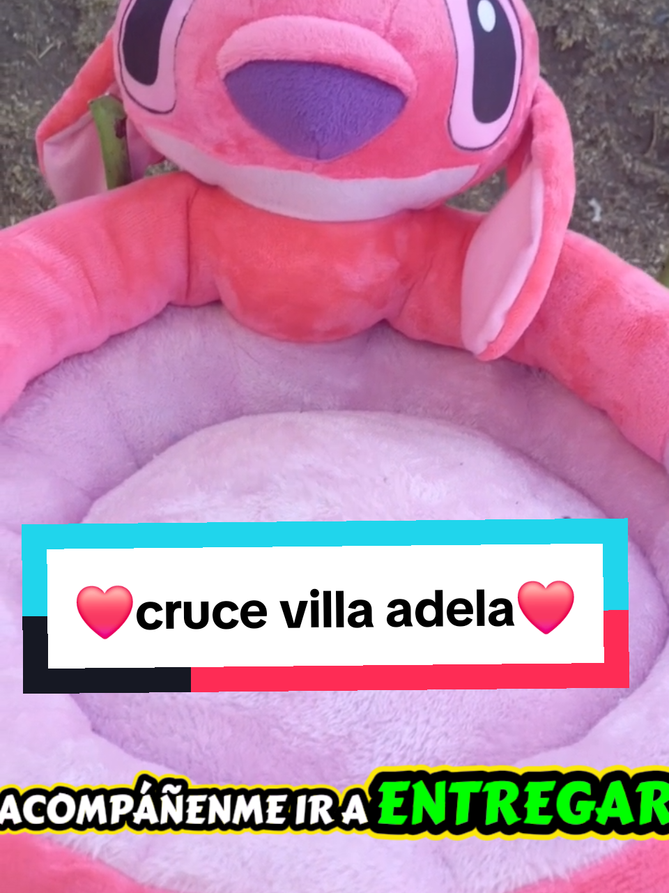 @Minxgia Pets