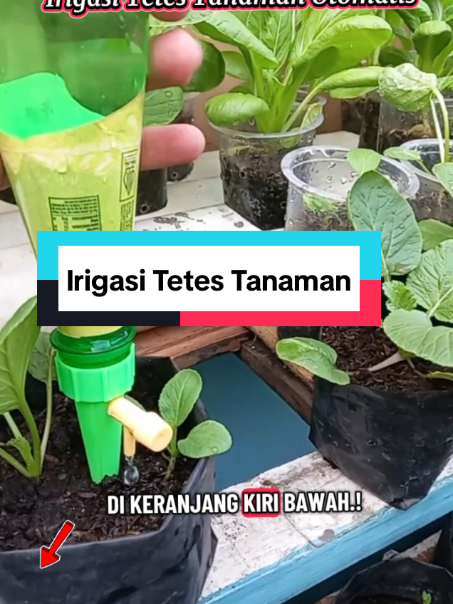 @Roslan.Robert