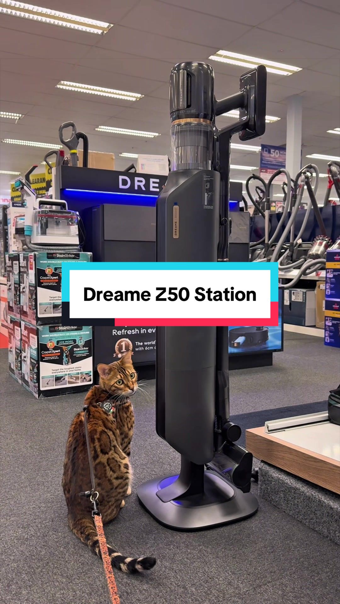 @Skeeter The Bengal