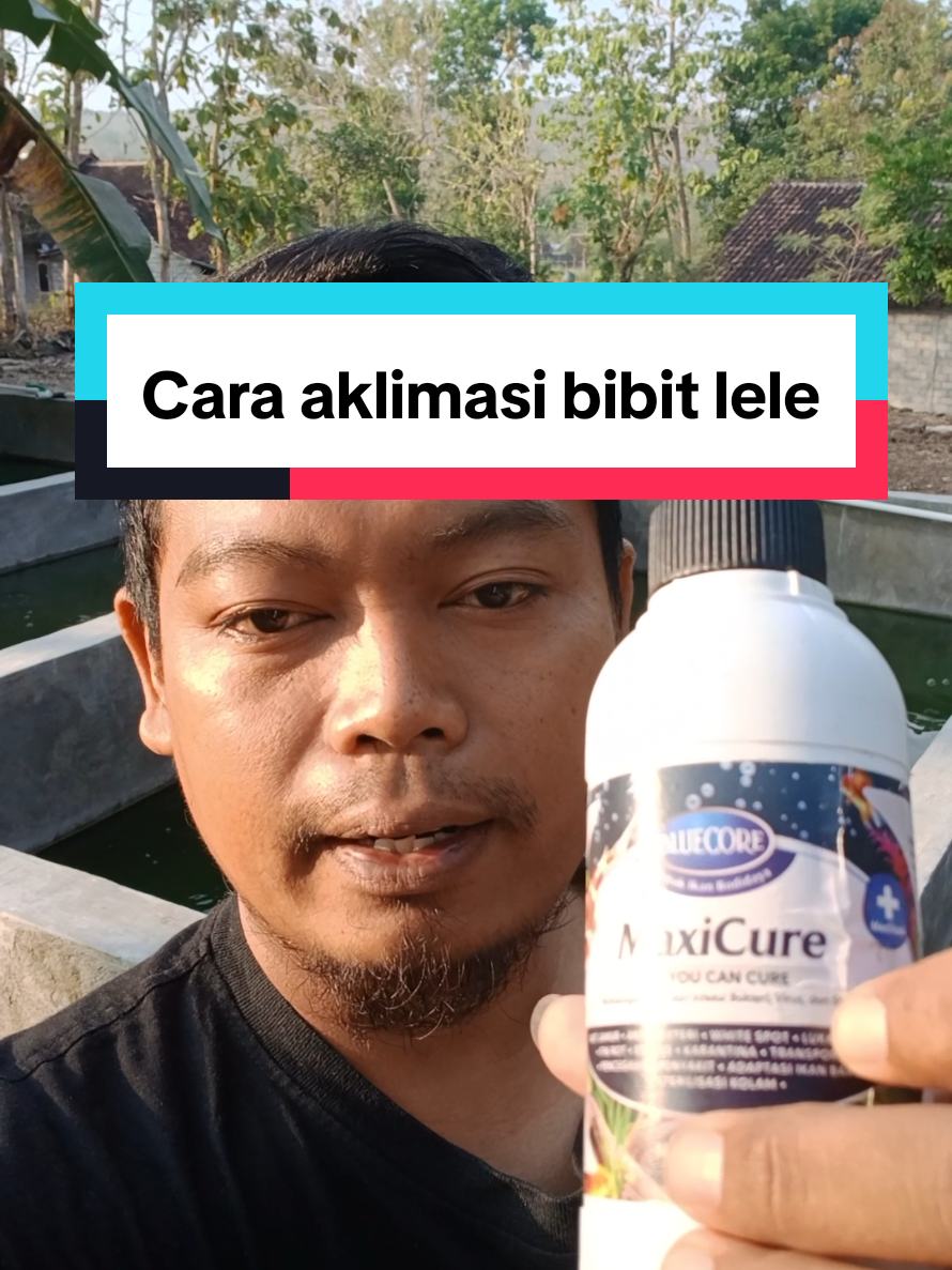 @Kang_Ewi