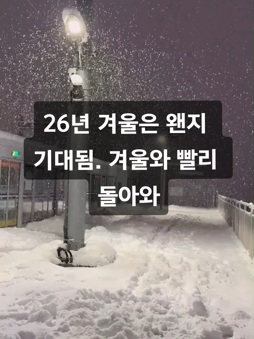@틱톡맨