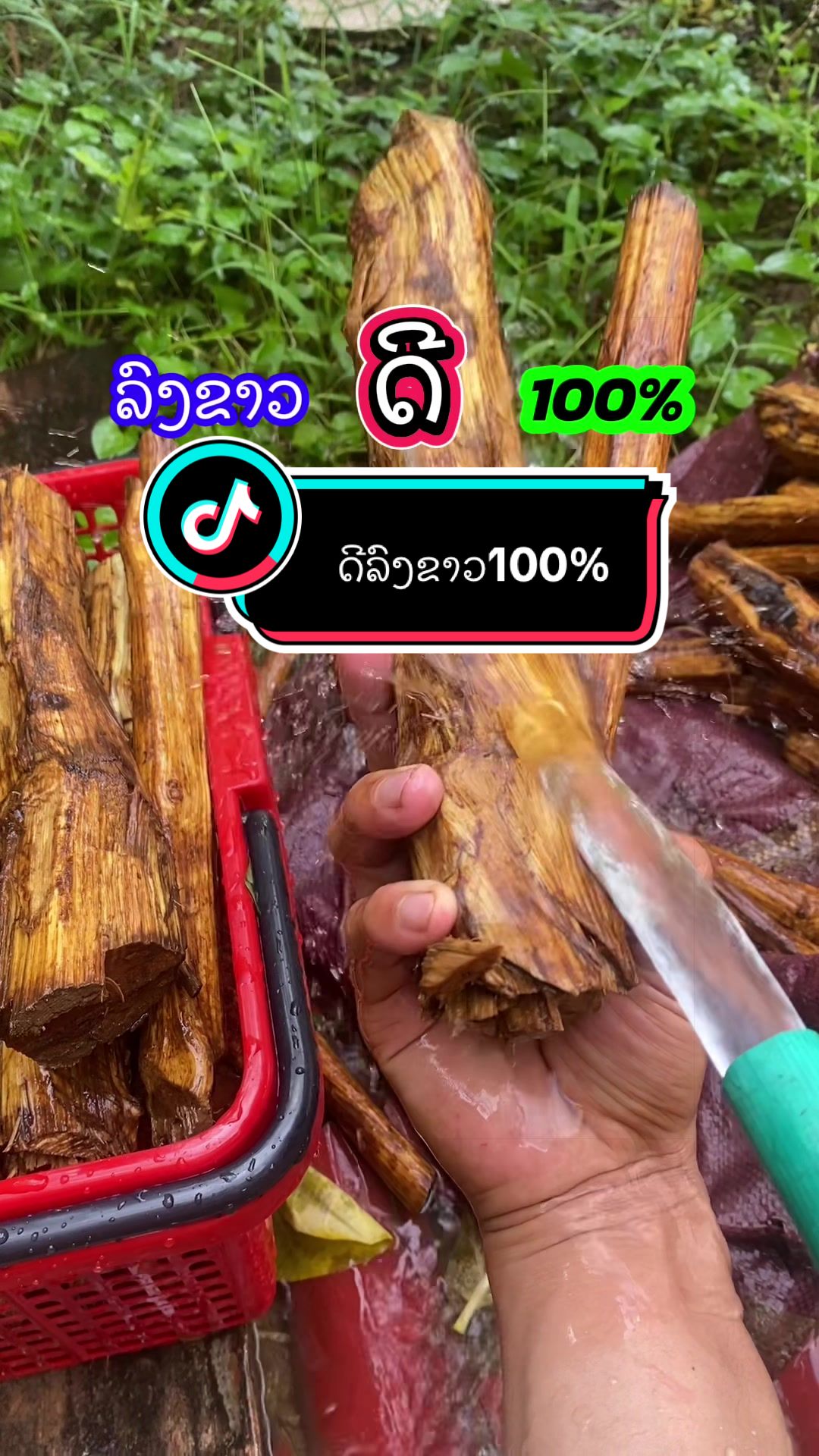@๐ฆ เบชเบนเบเบเบปเบงเปเบฅเบเบเบดเบ-เบเบฒเบ๐ฅ๐ฟ