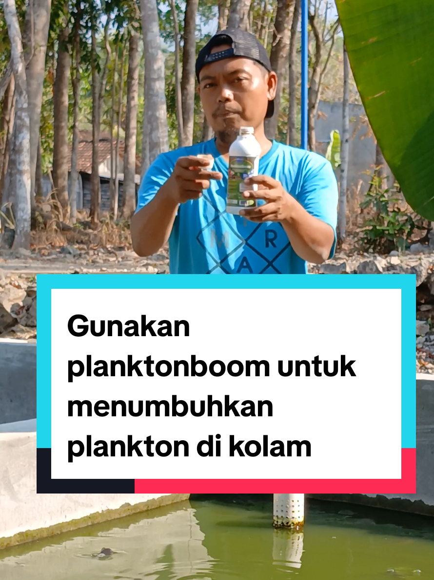 @Kang_Ewi