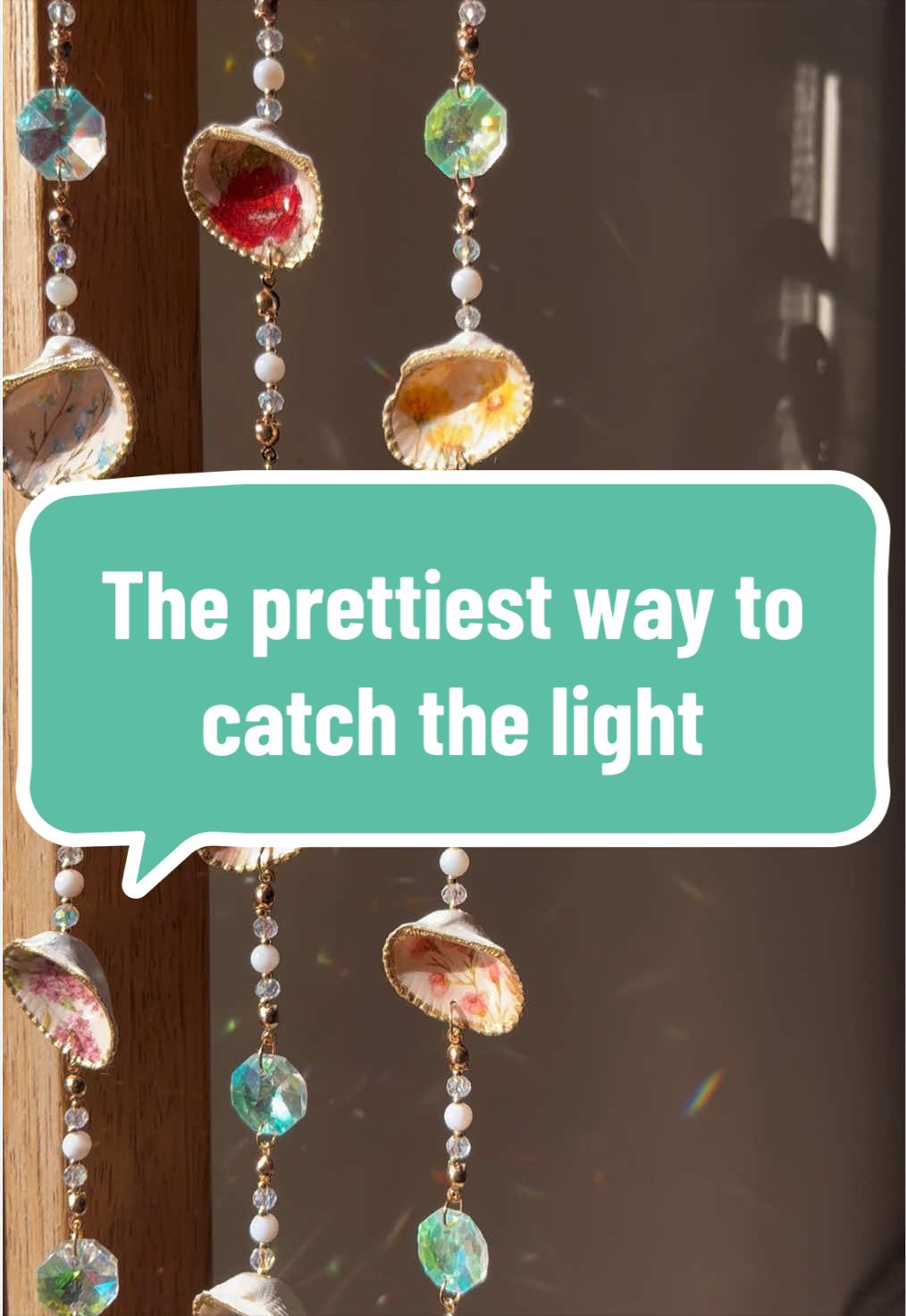 @Dusty J Designs | Shells