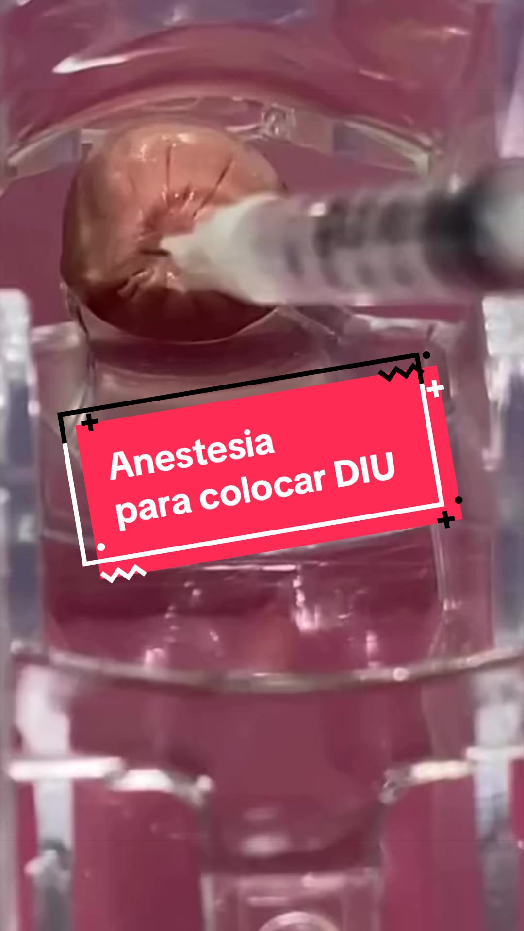 @Dra. Ver&oacute;nica Reyes Ginec&oacute;loga