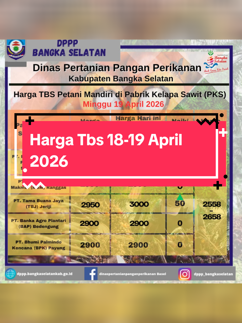 @IG Nusantara