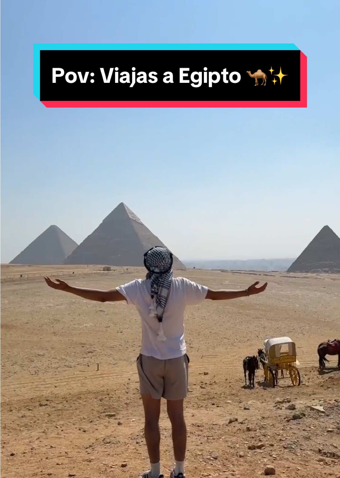 @diegoo🇲🇽