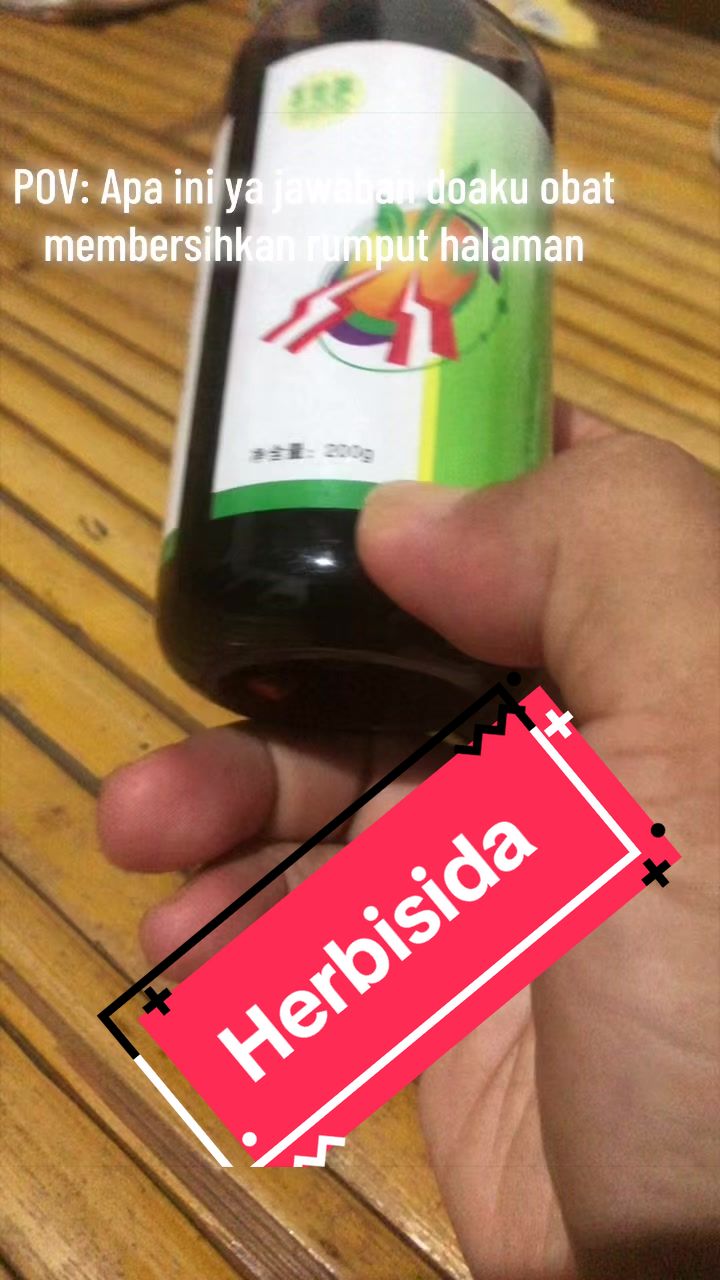 @KUD TANI