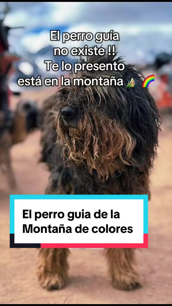 @😃VIAJERO PERÚ 🇵🇪