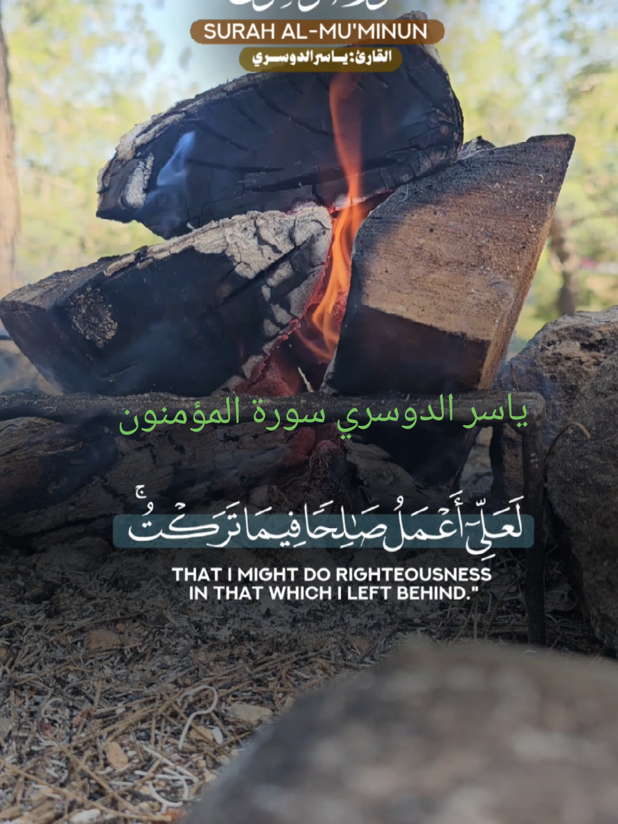 @احمد منير