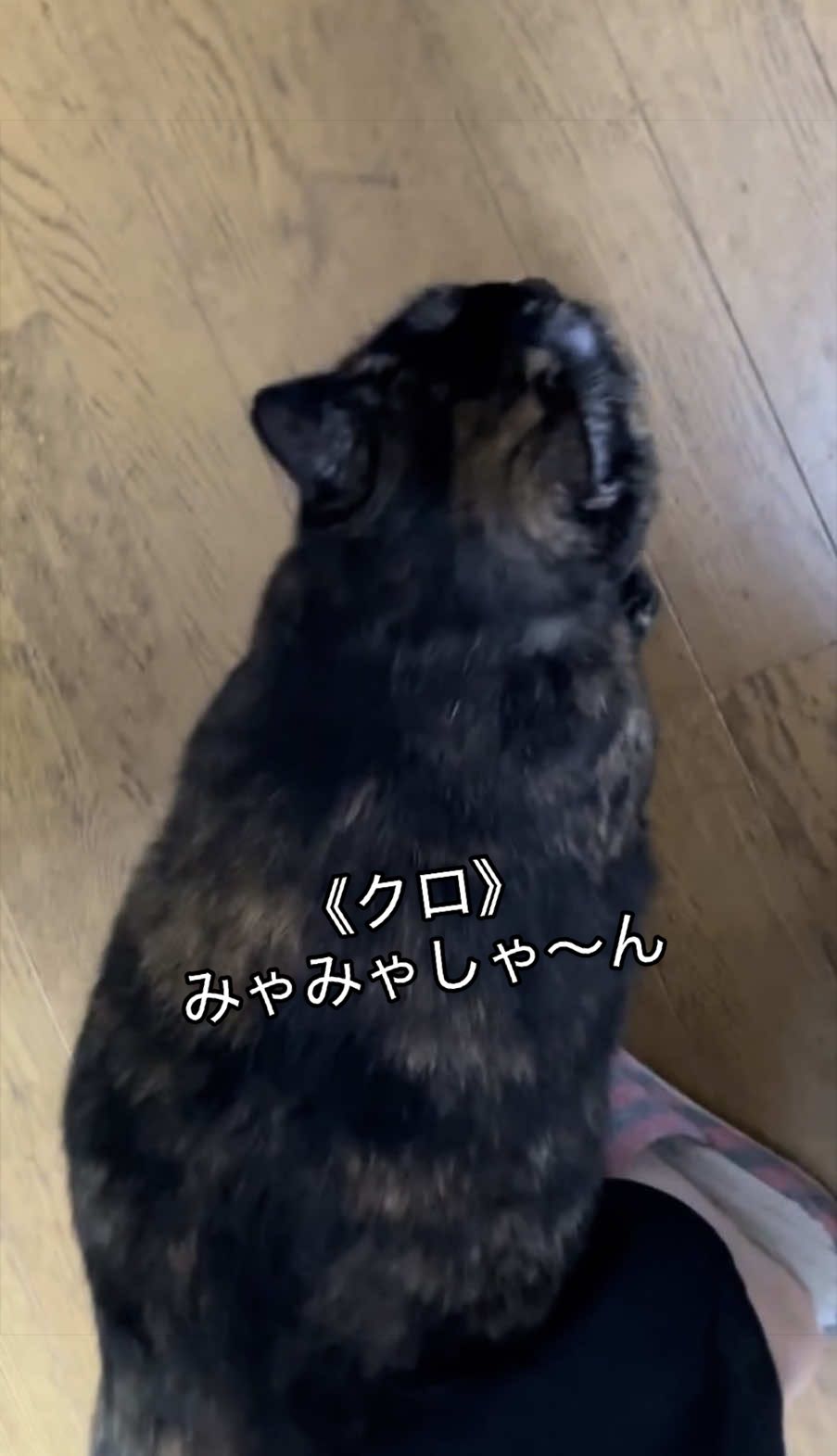 @聴々物語PROJECT