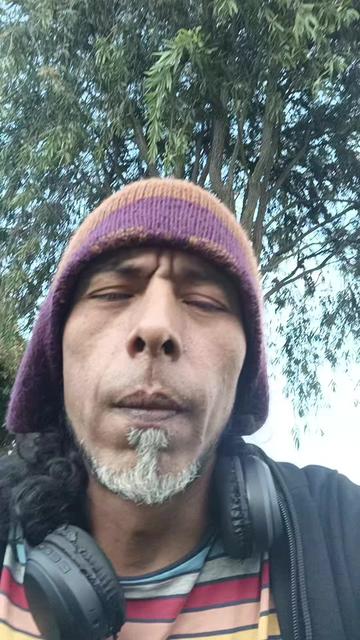 @AyahuascaparaTodosPeru