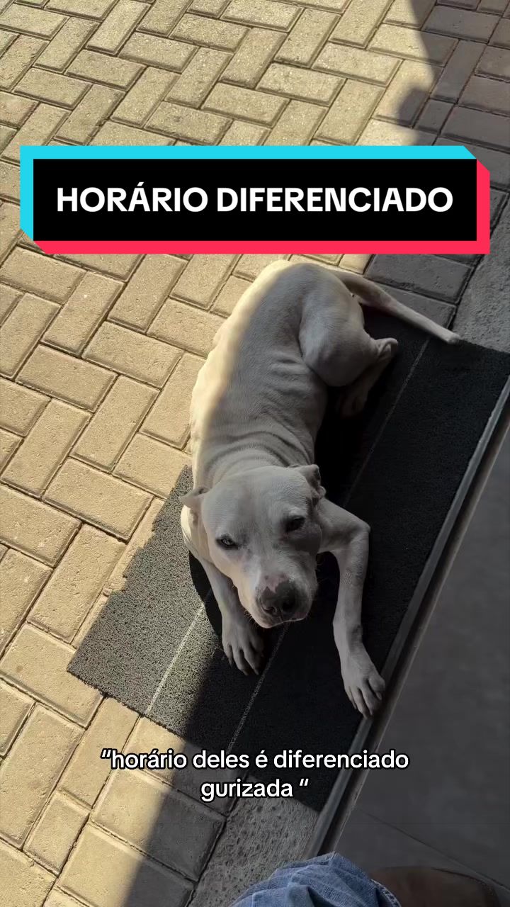 @rincon061