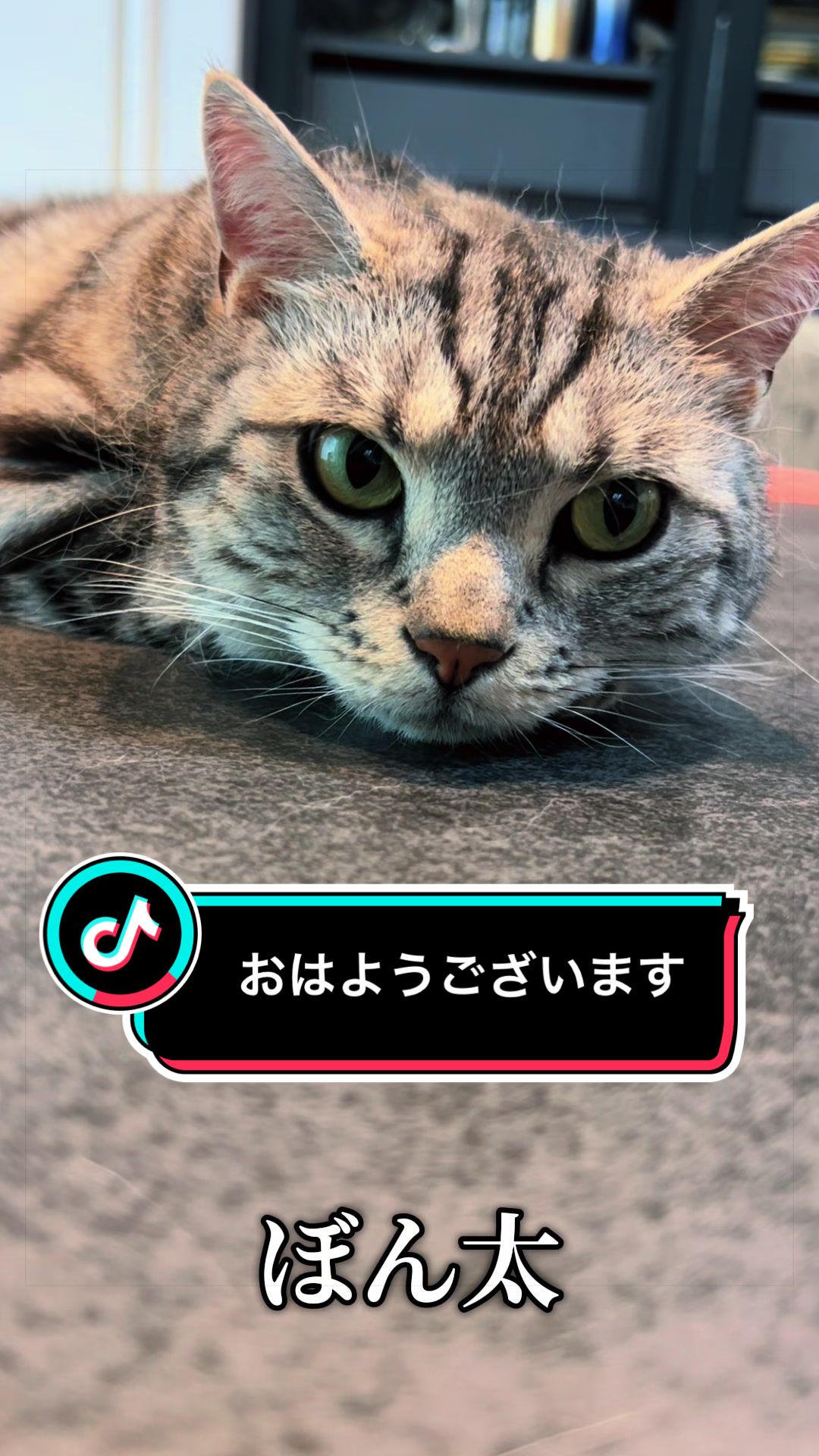 @稲荷弥勒