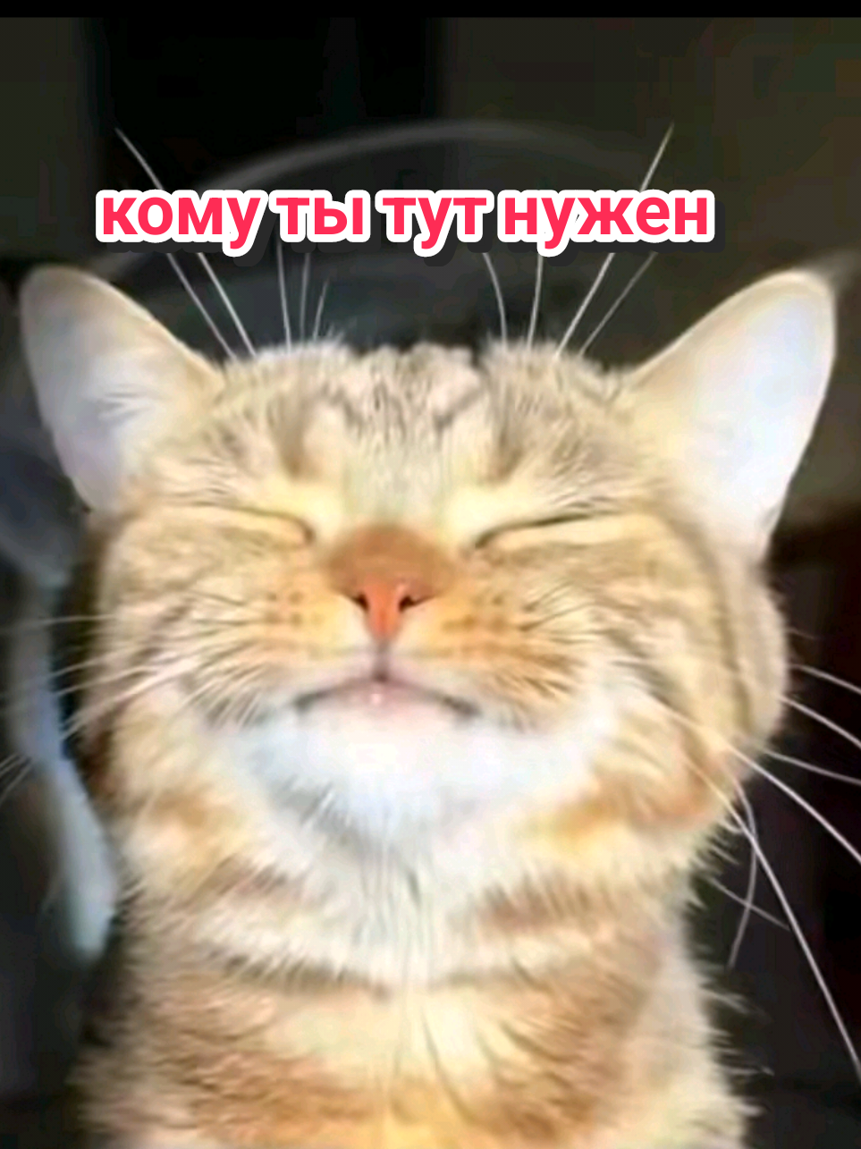 @Рыся✔️🇧🇾