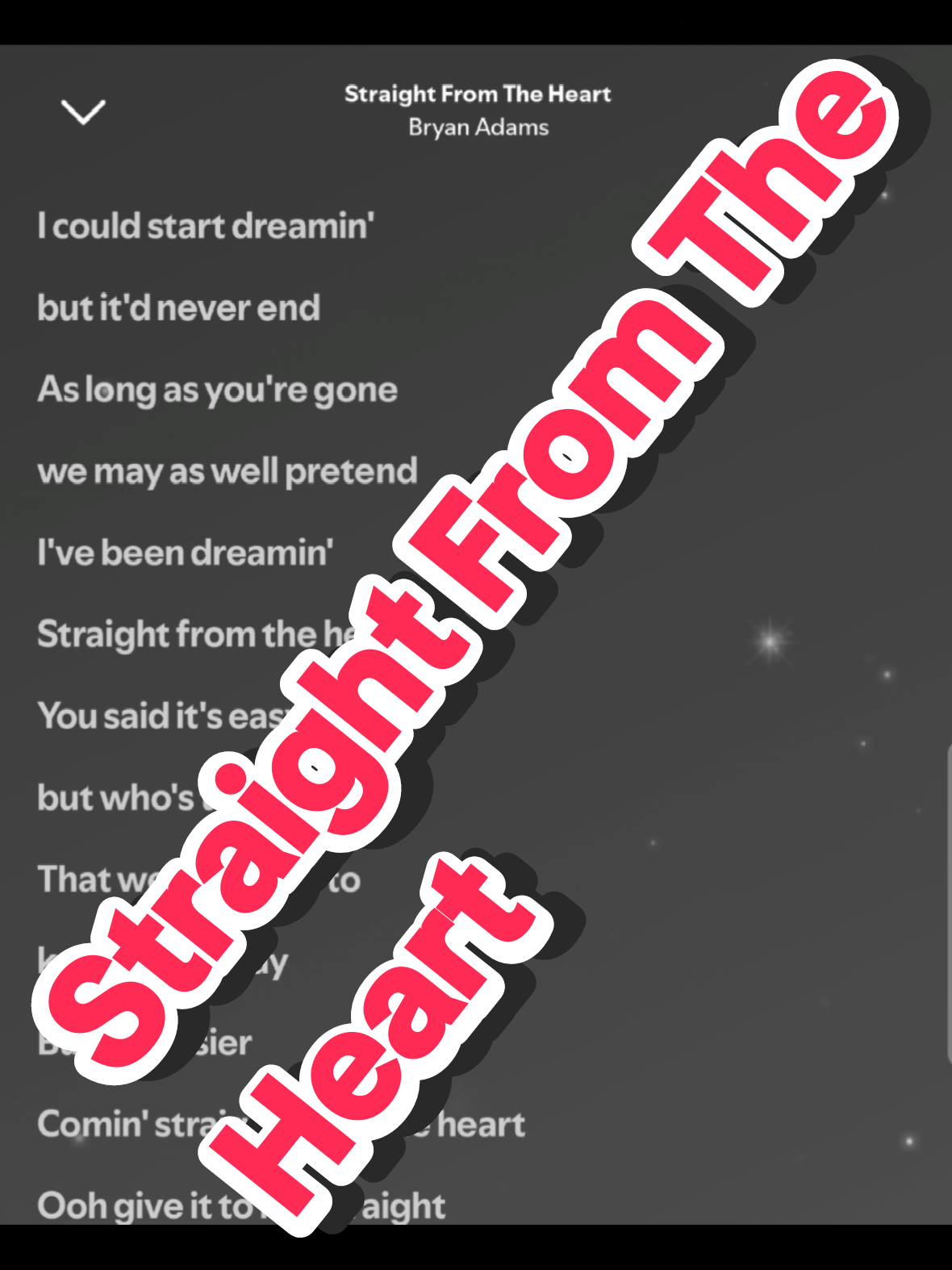 @Dog Narrator 🐶 | Lyrics