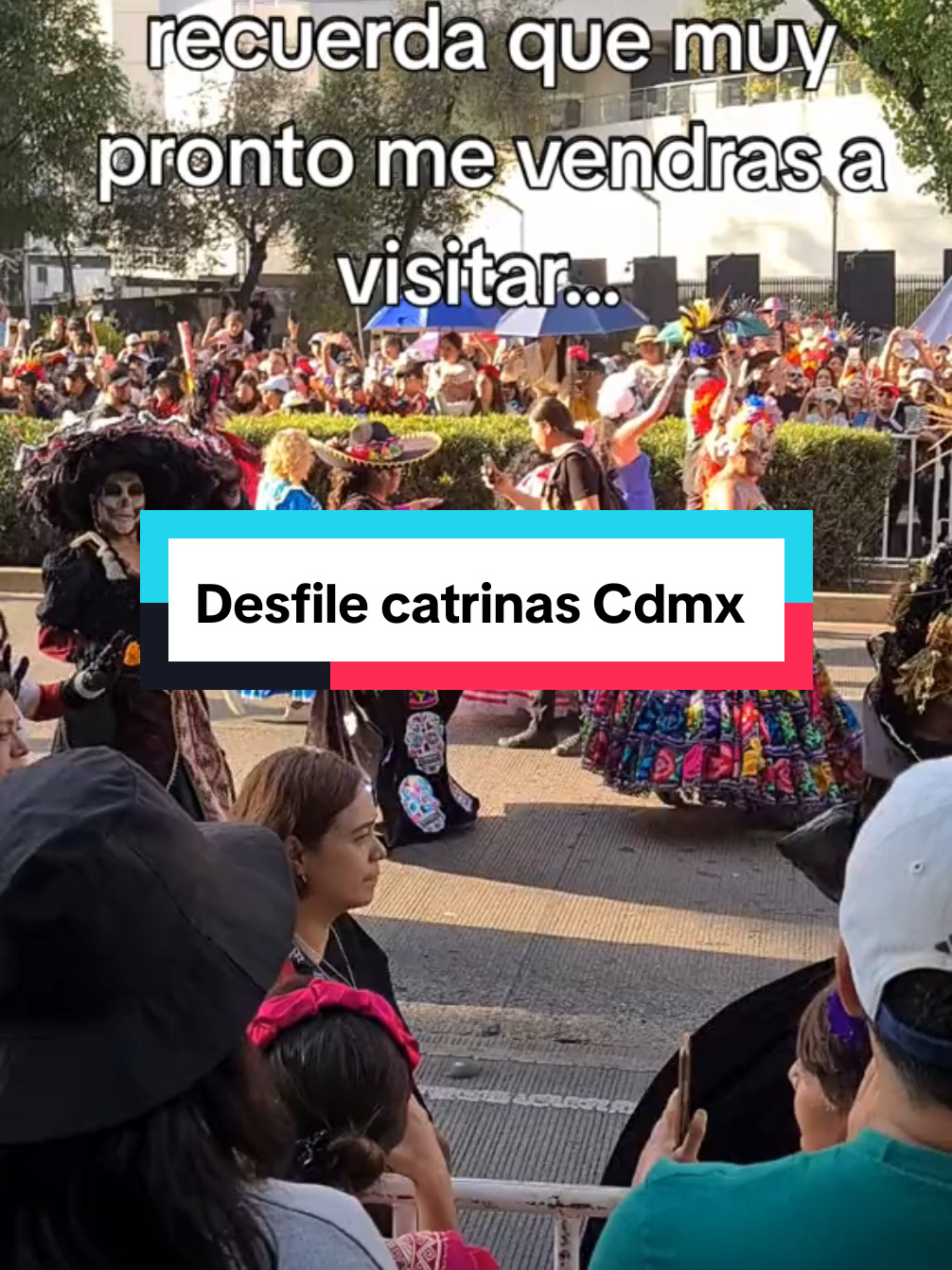 @ELCABALLERODELTIKTOK