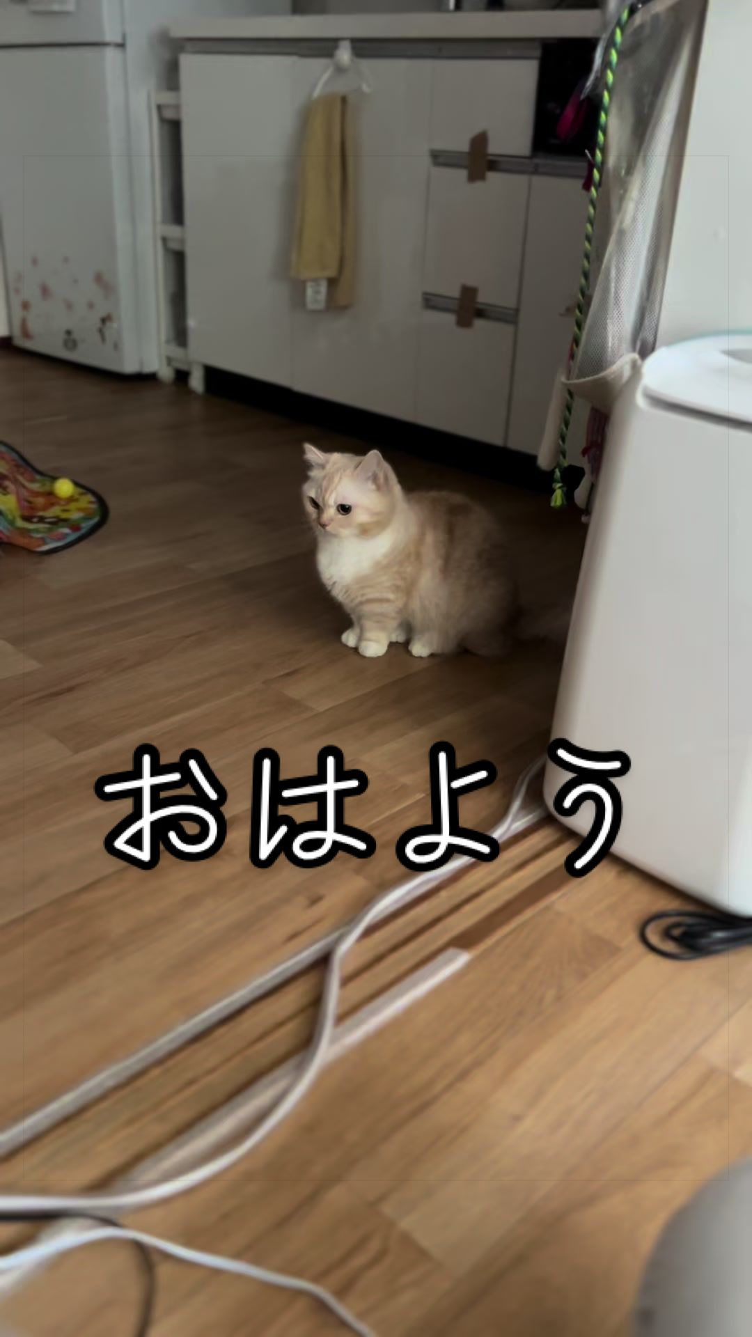 @縫くんと私
