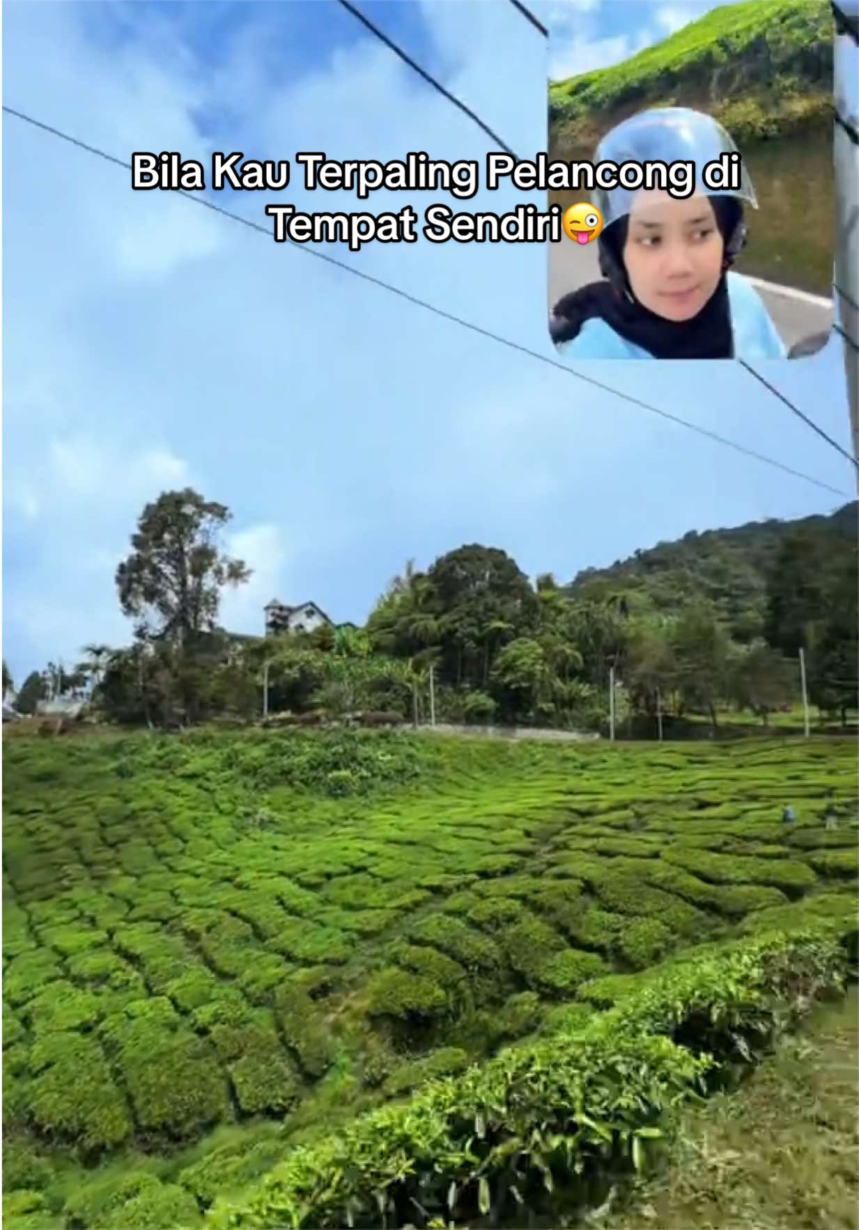@Aleya 𐙚