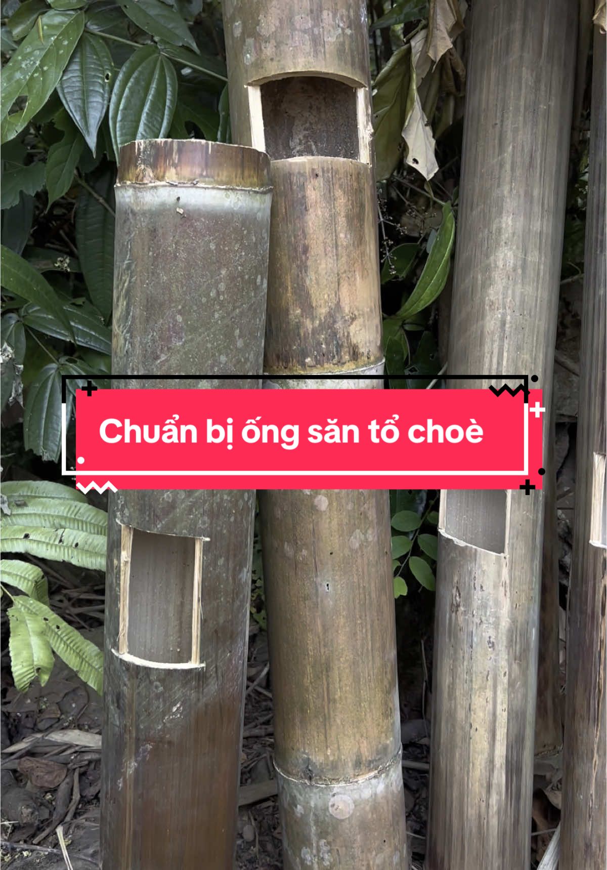 @C&C Miền N&uacute;i ⛰️