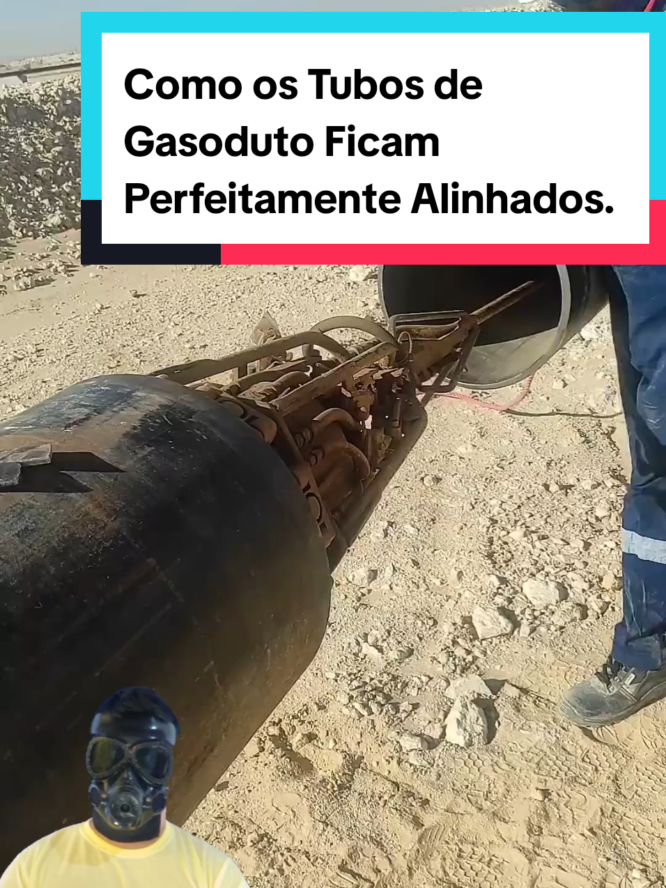 @Mundo da Curiosidades