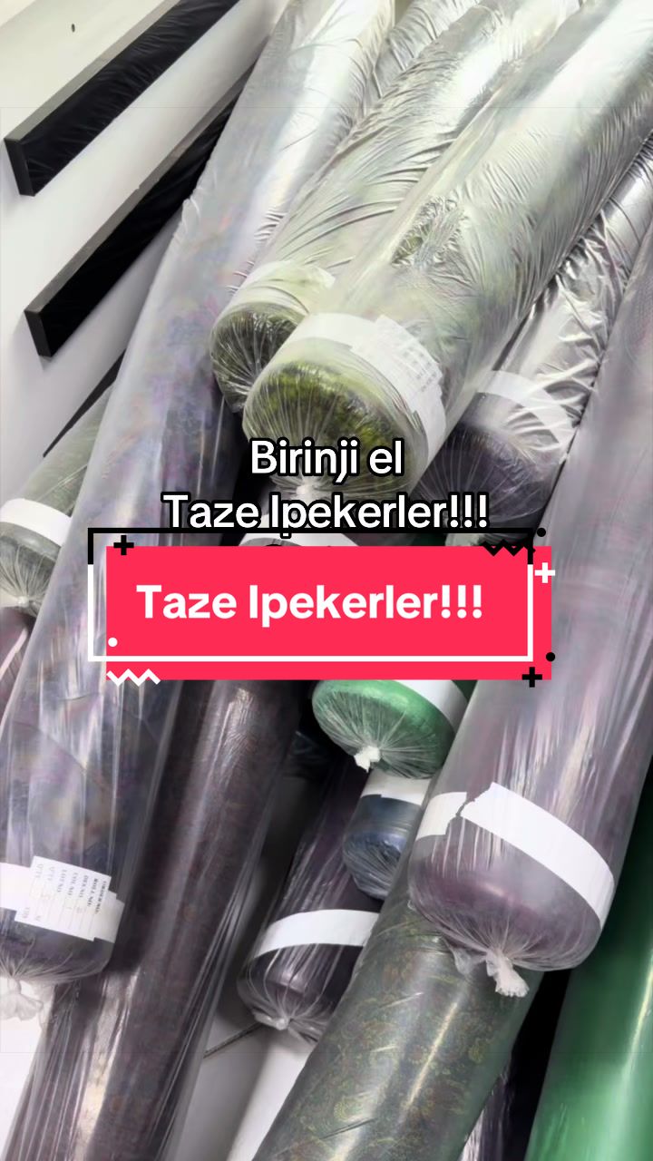 @Birinji el Optam Stapyllar1