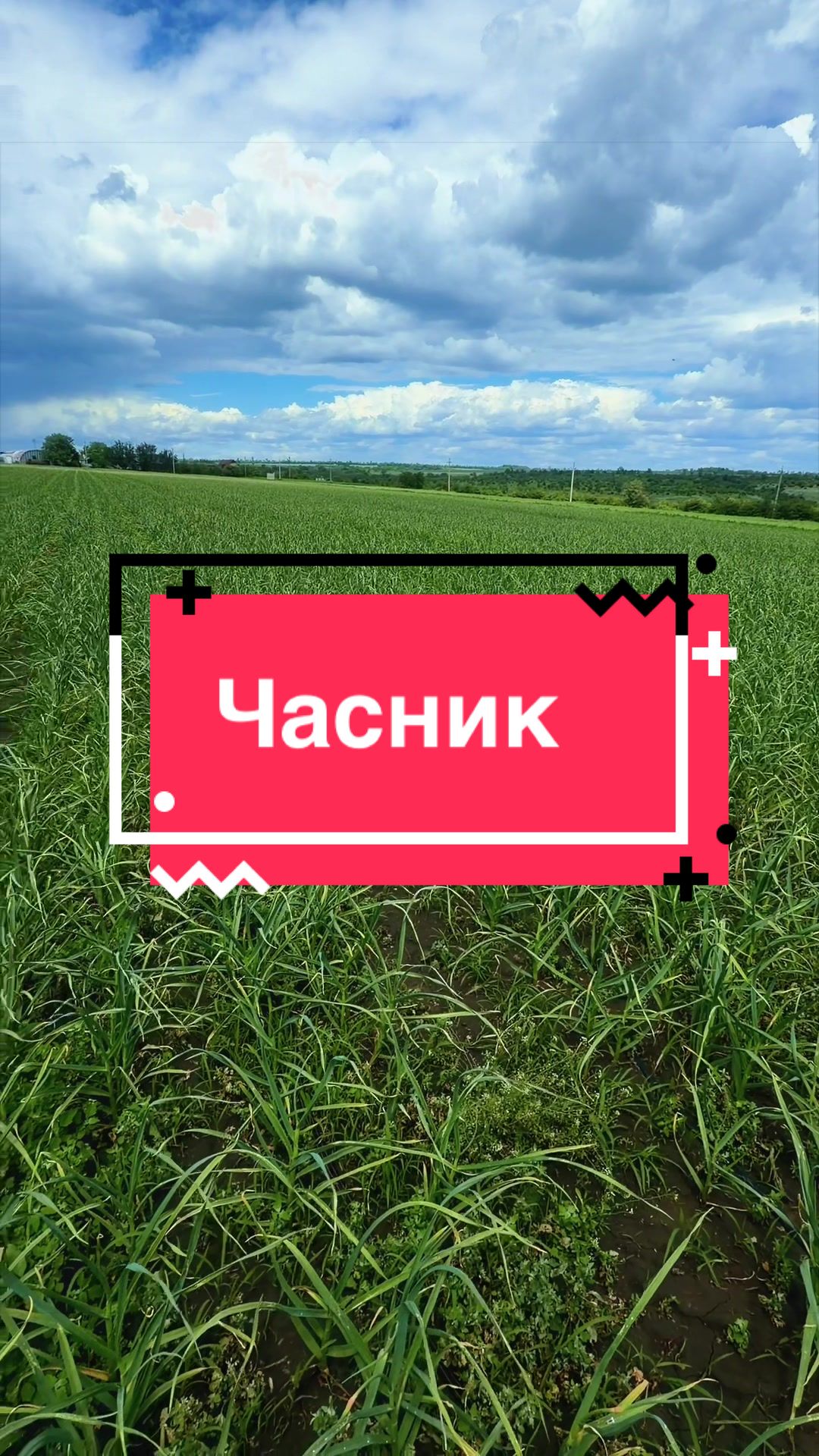 @Золотий Гектар|Насіння,Добрива