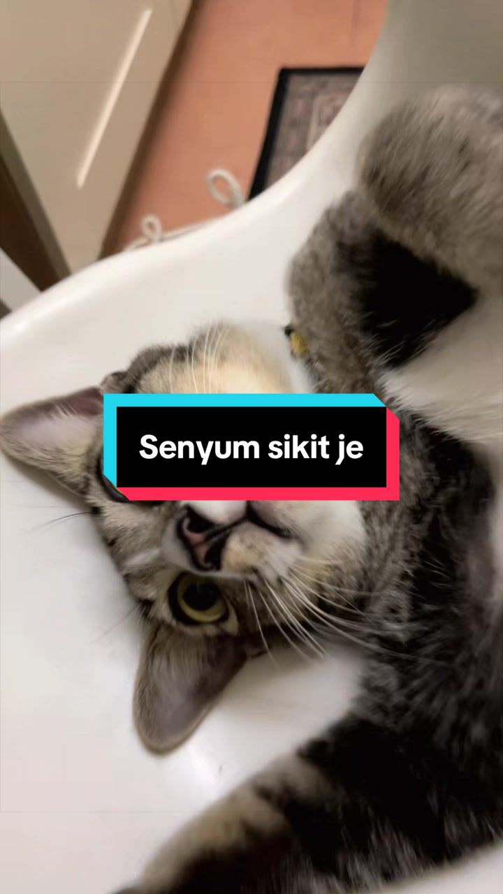 @JANGAN Teng🅾️k