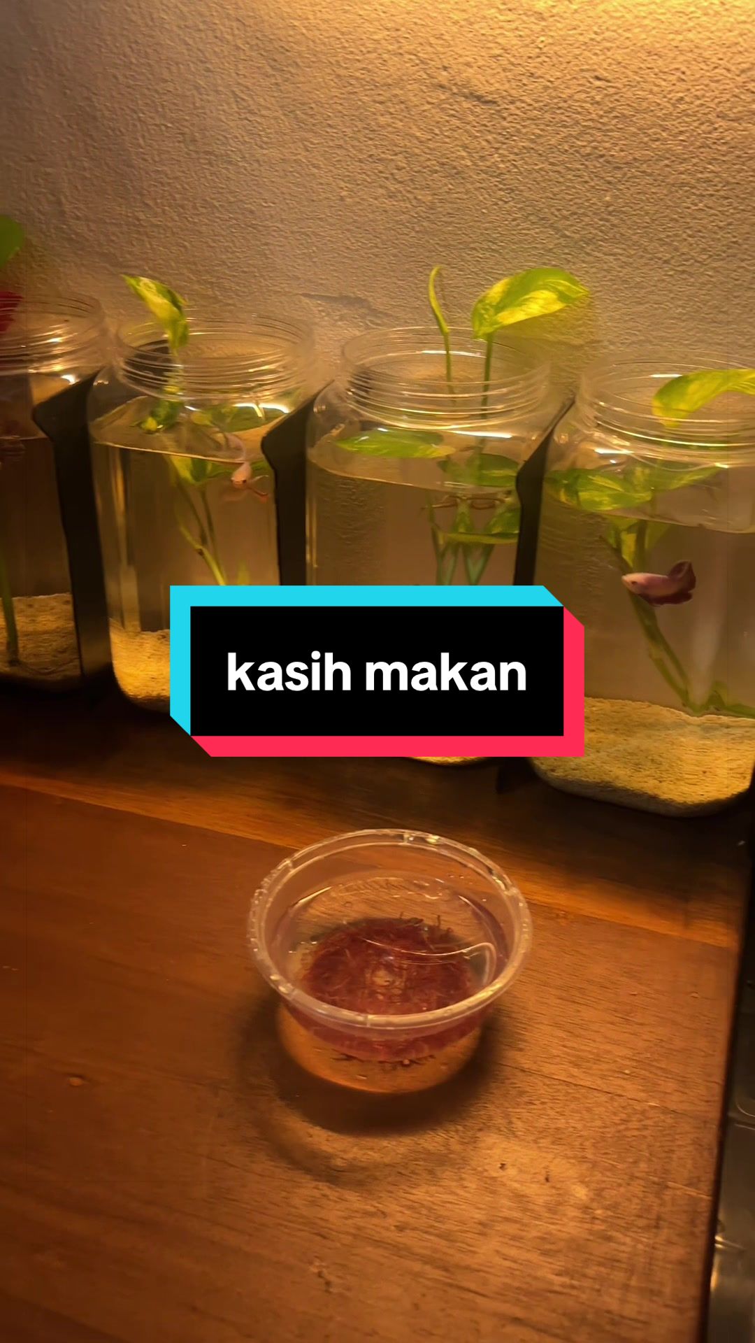 @bayu