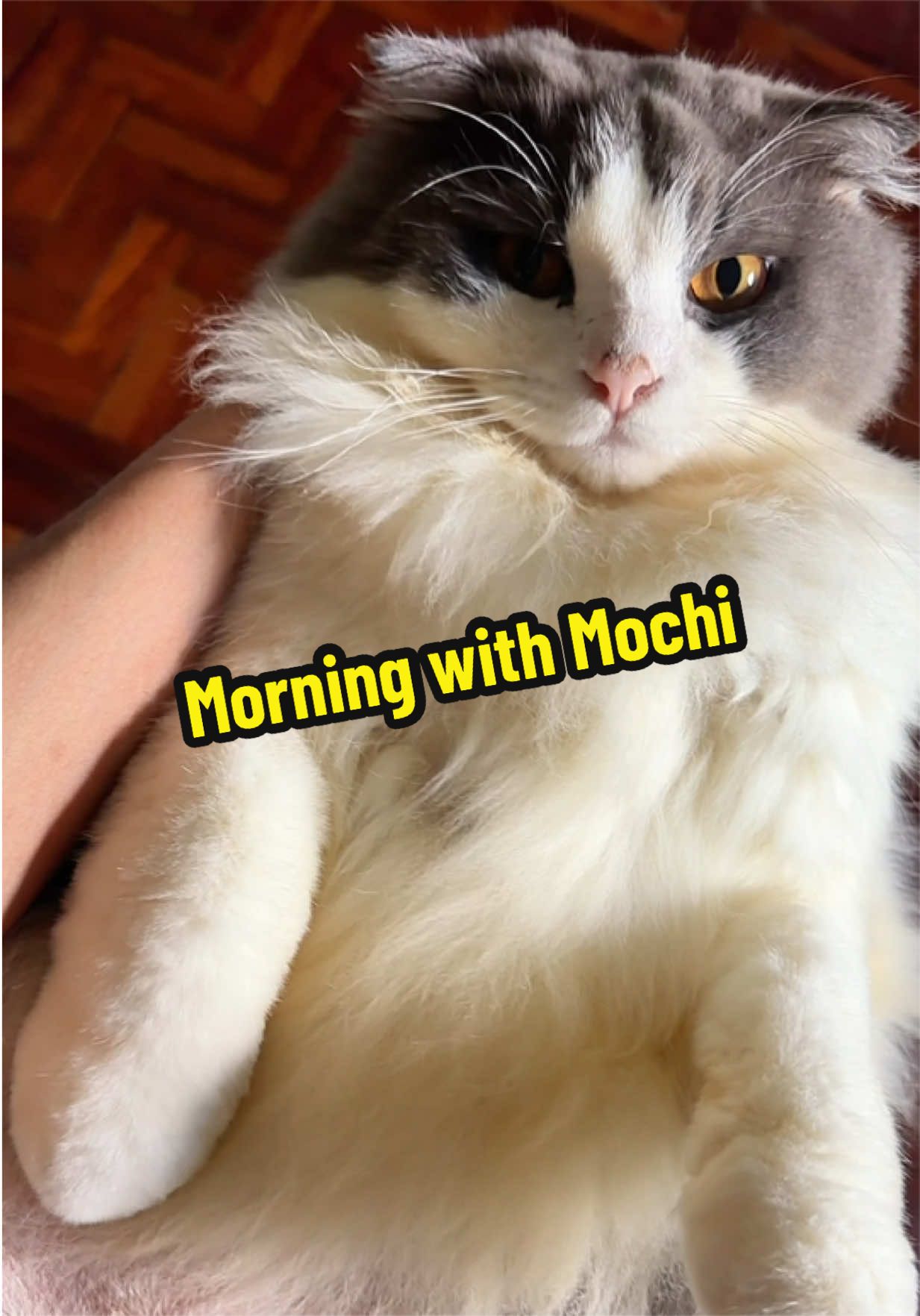 @leishkiofficial