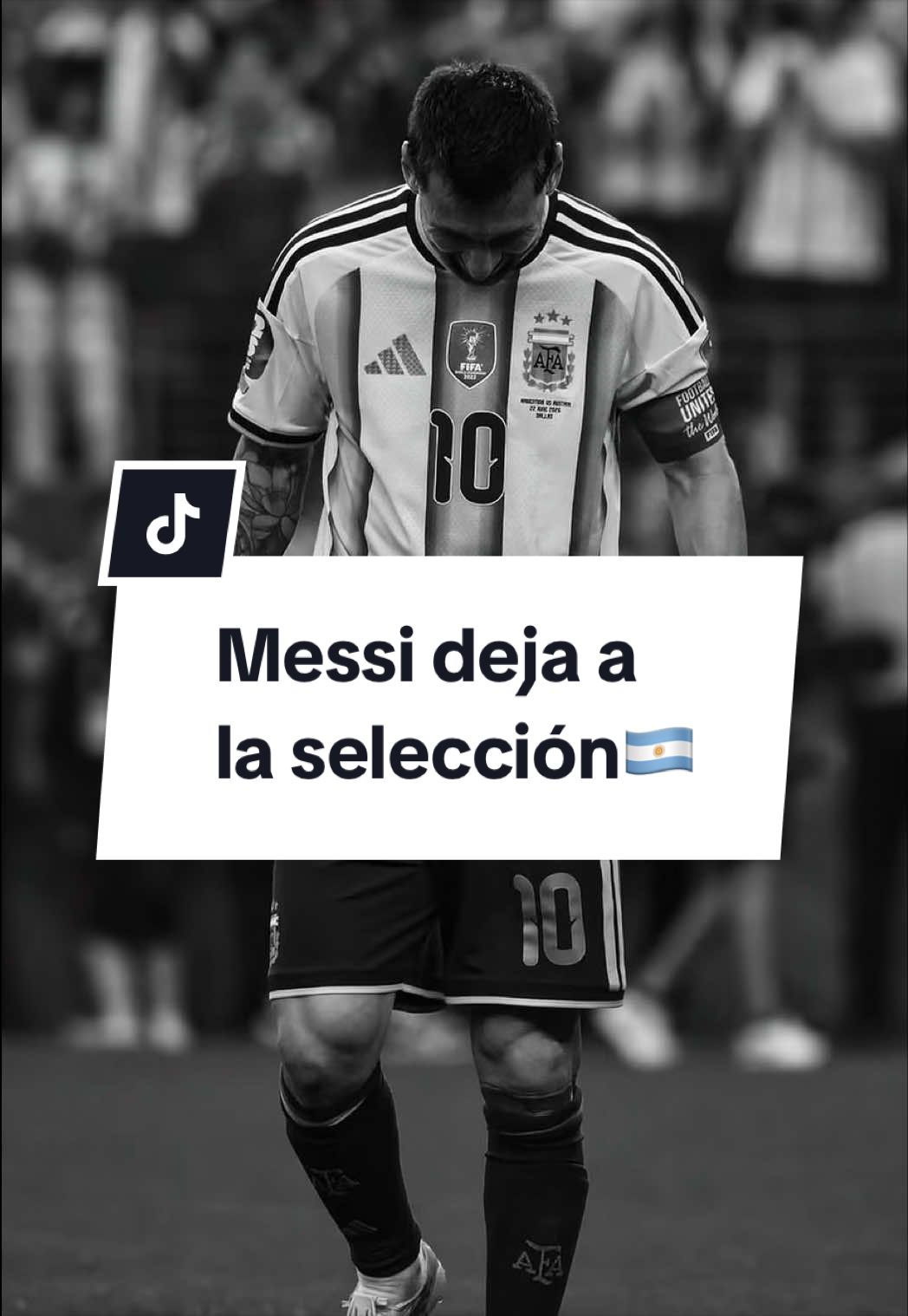 @Rey Cantú