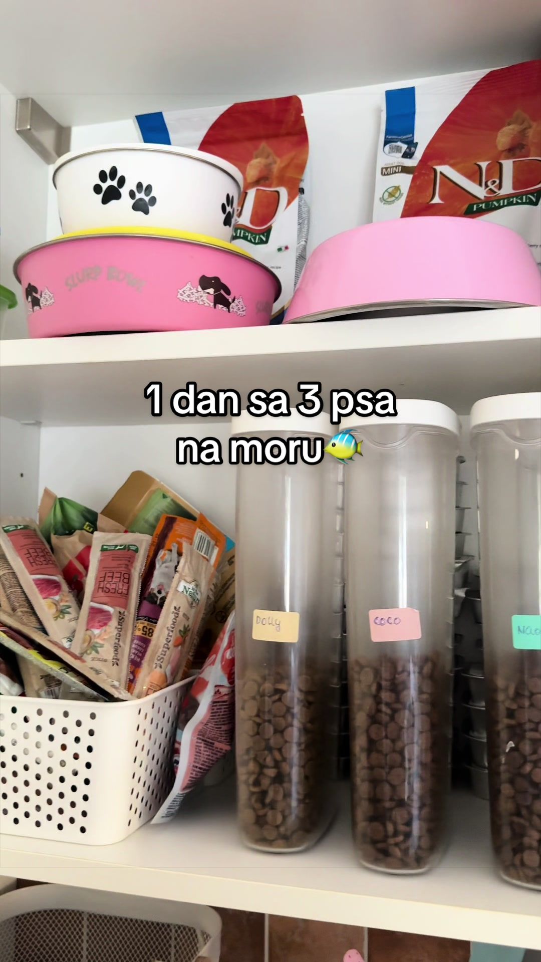 @Sara Stankovic🦌