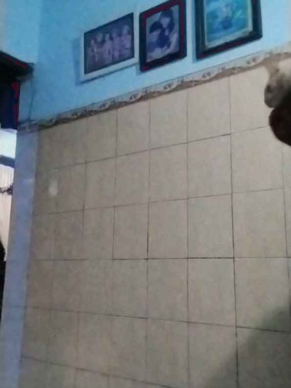 @Mamy_Ina