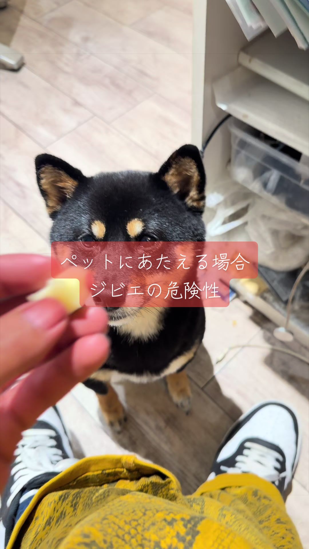 @ハナにバレるまで