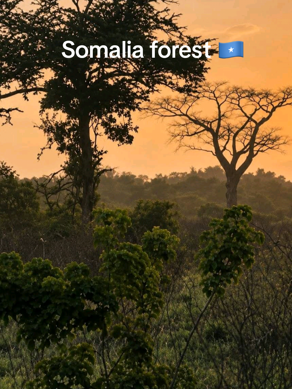 @Lag Badana C conservancy Trust