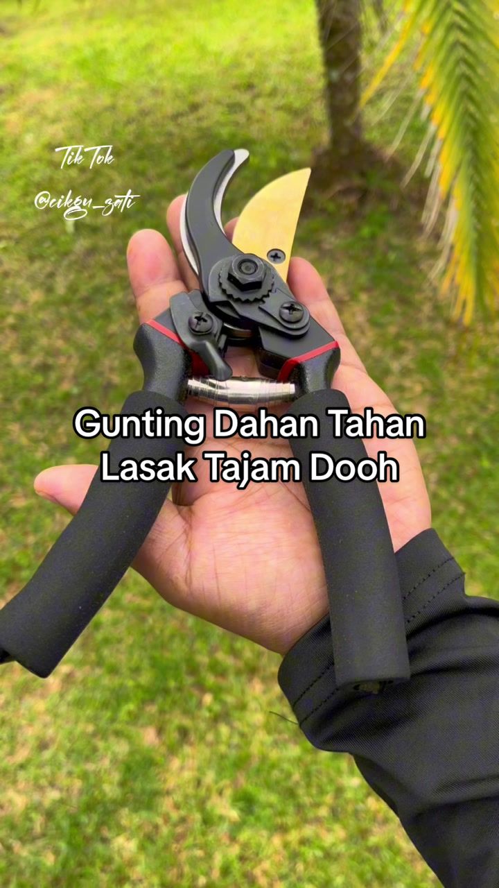 @Cikgu_Zati