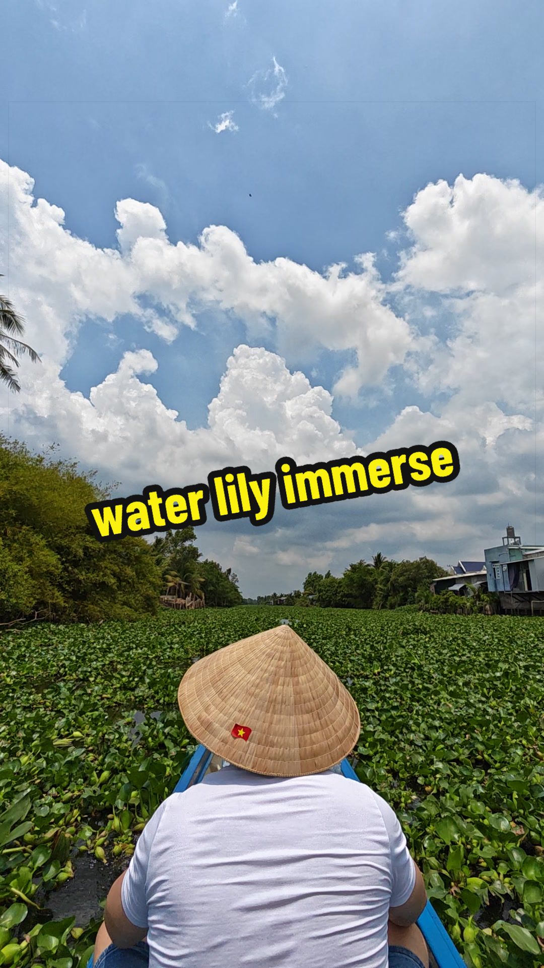 @Sunny Tour Guide