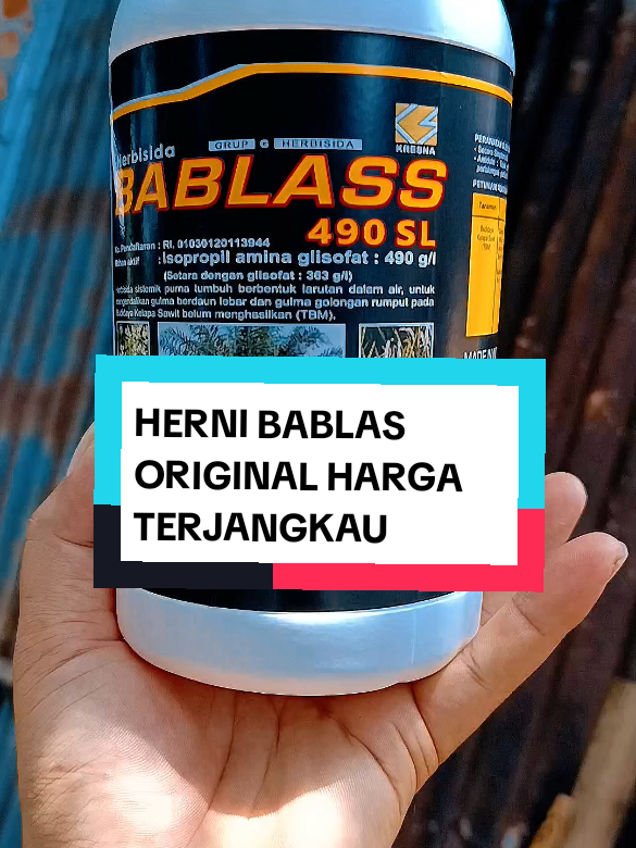 @yunfa lovers