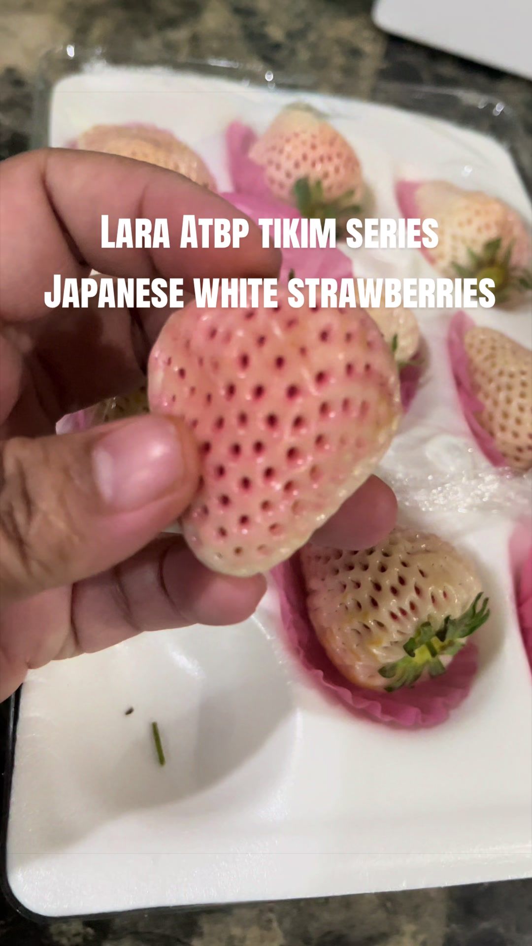 @Lara ATBP