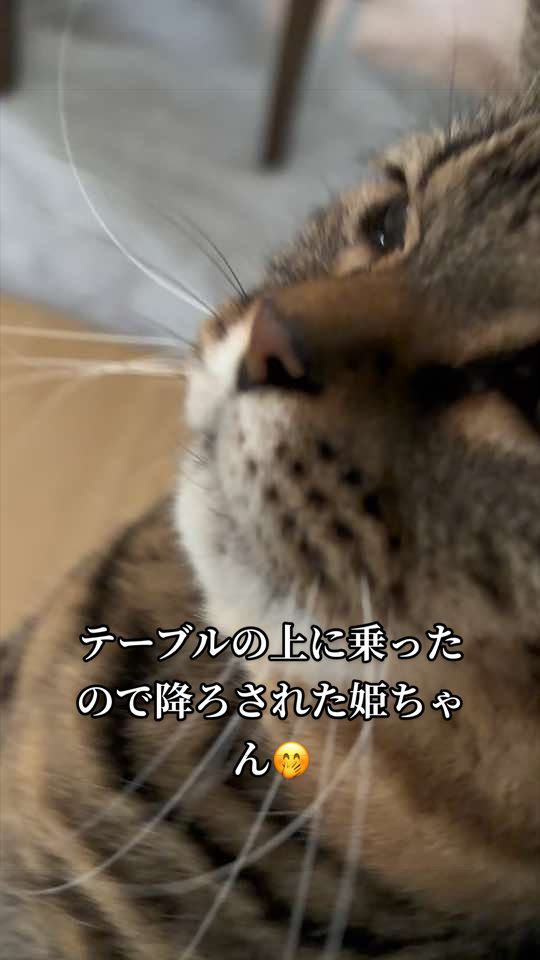@翠