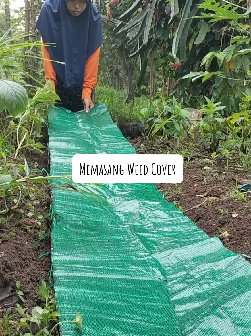 @mahmudah.garden