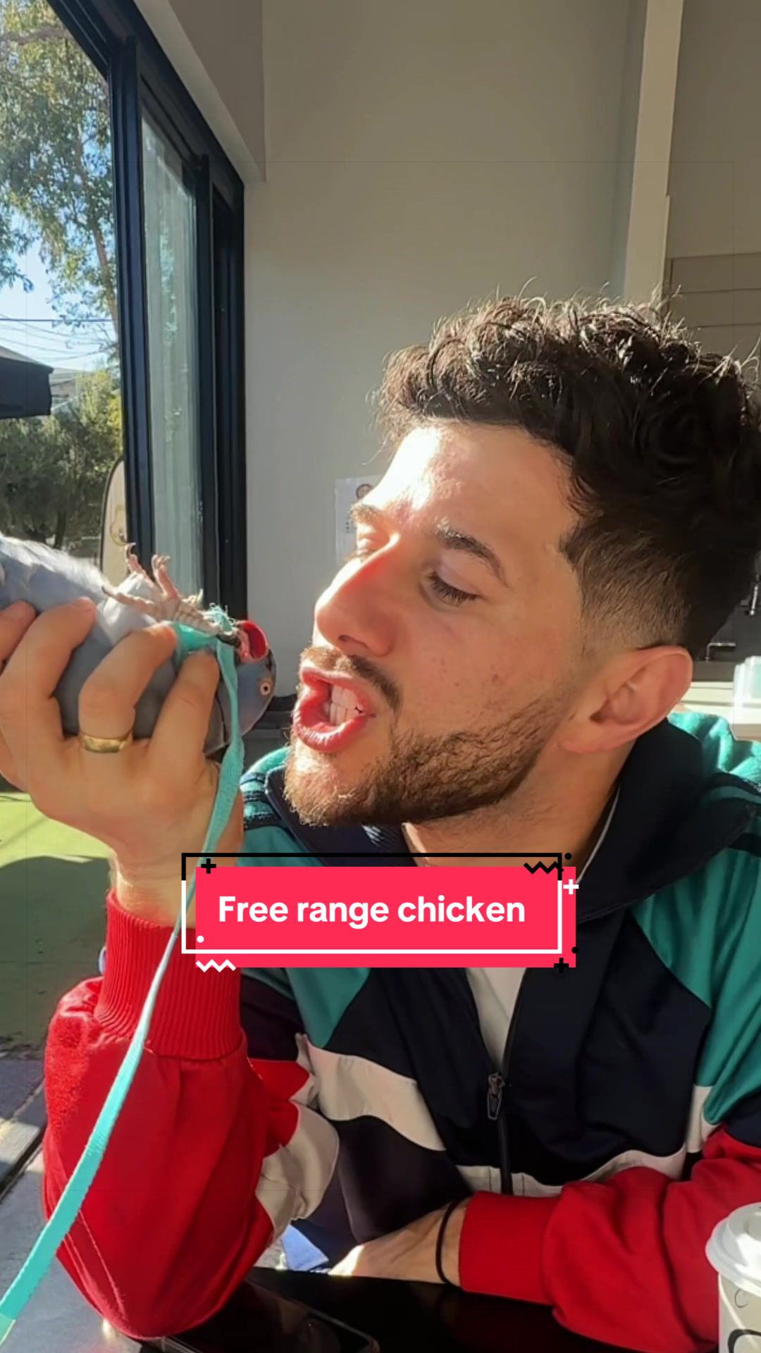 @Halloumi
