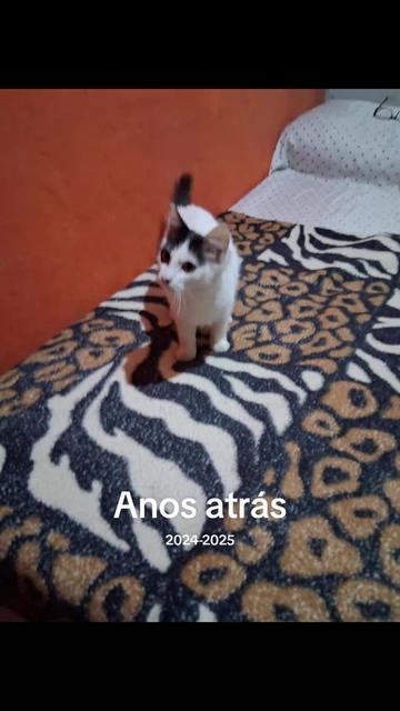 @Sandra Maria